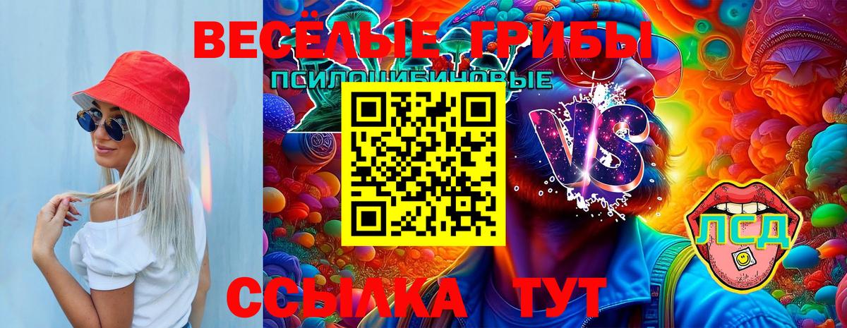Галлюциногенные грибы ЛСД  Вход с VPN  Касимов 