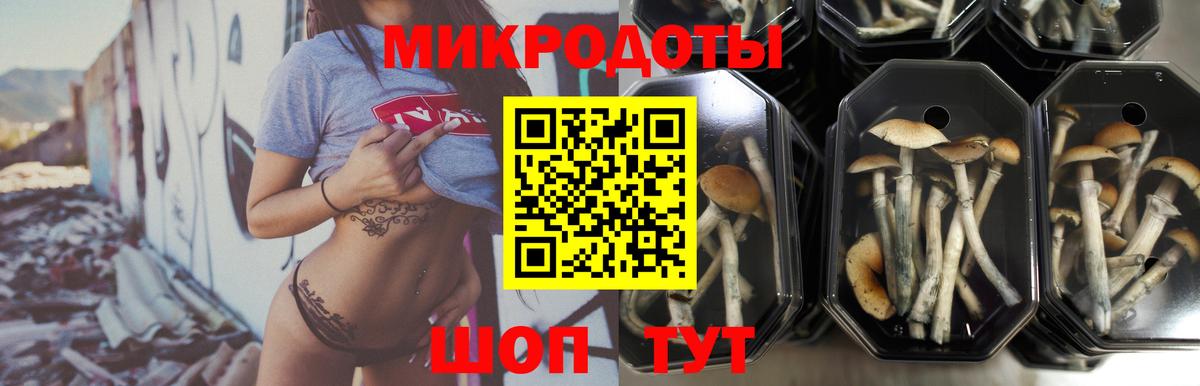 Галлюциногенные грибы мицелий Касимов